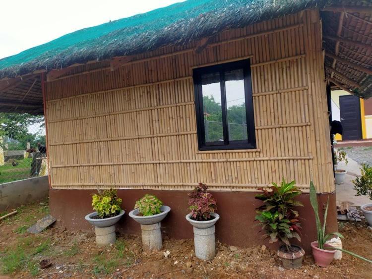 Casa De Flores Alaminos Exterior photo