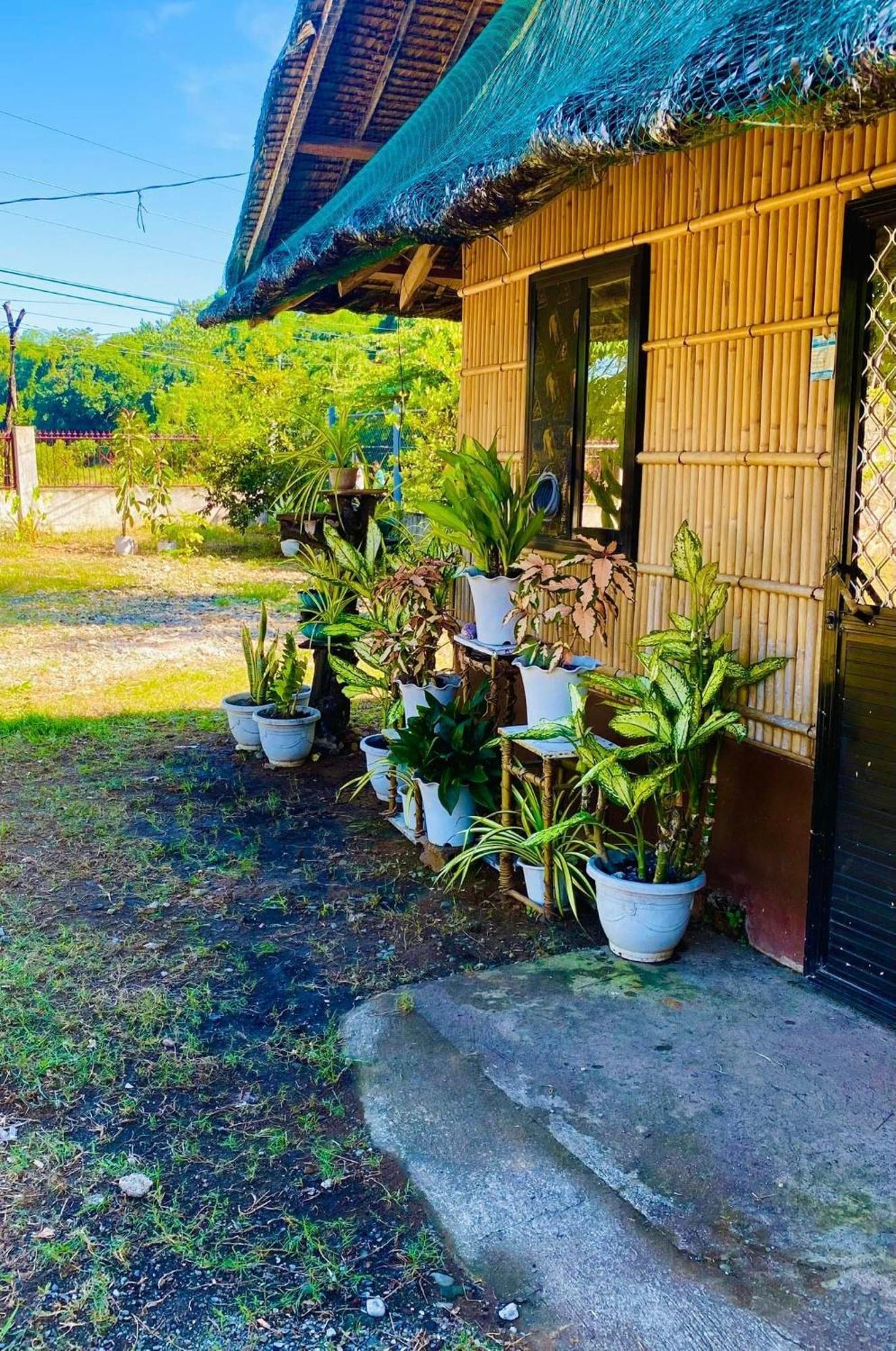 Casa De Flores Alaminos Exterior photo
